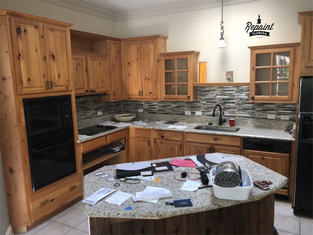 Kitchen Cabinet Remodel in Lake Nona, FL