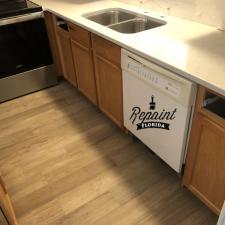 Custom Kitchen Cabinet Colors in Eustis 4